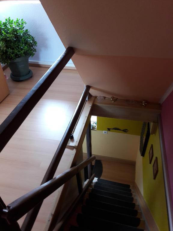 Ferienwohnung Osterbrink イルセンブルク エクステリア 写真