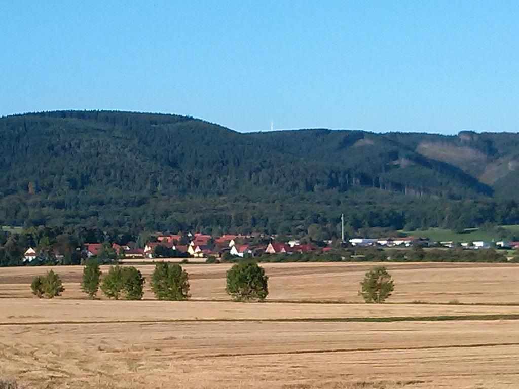 Ferienwohnung Osterbrink イルセンブルク エクステリア 写真